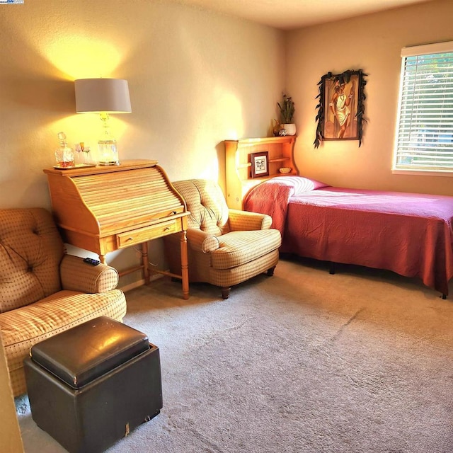 bedroom featuring carpet