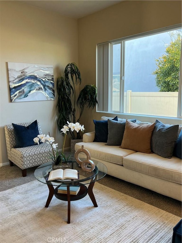 living room with carpet