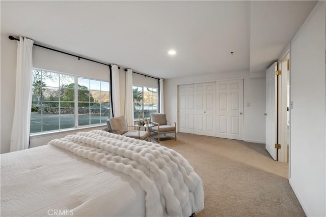 bedroom with a closet and light carpet