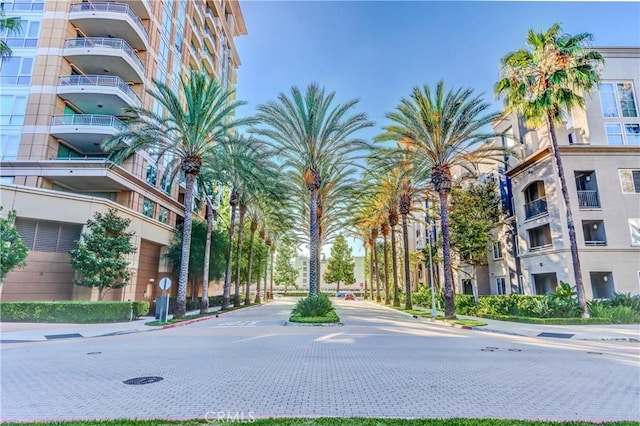 view of road featuring curbs and sidewalks