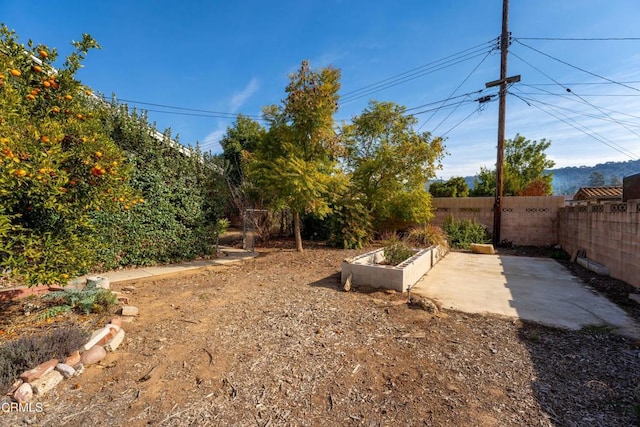 view of yard featuring a patio