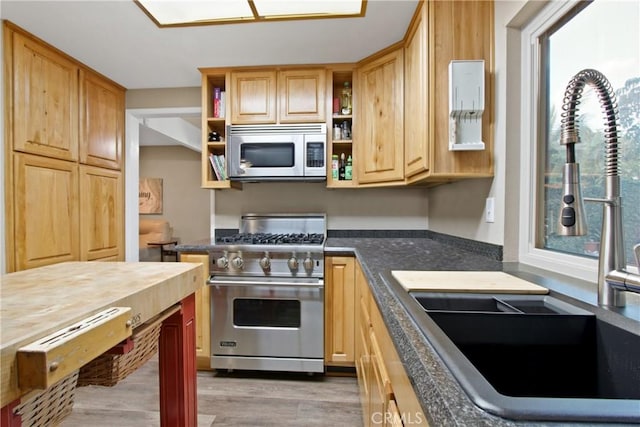 kitchen featuring hardwood / wood-style flooring, stainless steel appliances, sink, and light brown cabinets