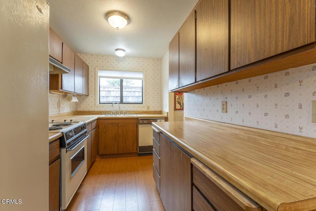 kitchen featuring sink, a textured ceiling, white appliances, and light hardwood / wood-style flooring