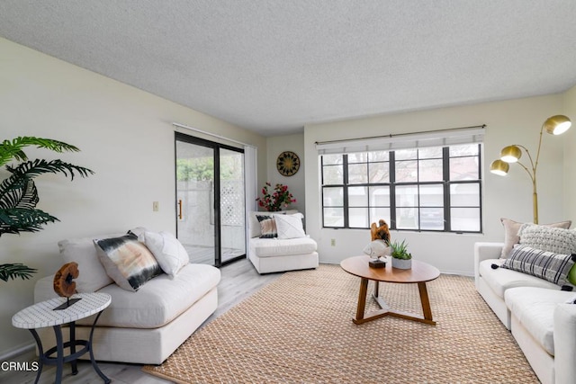 living room featuring a textured ceiling