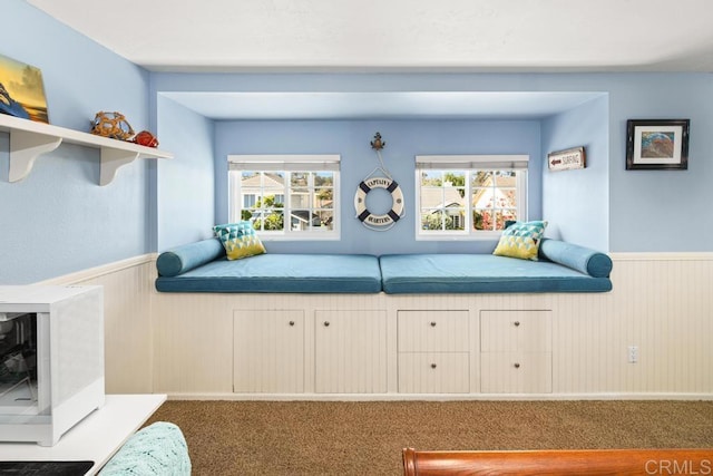 bedroom with carpet floors