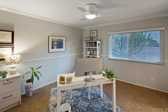 office featuring ornamental molding, ceiling fan, and carpet