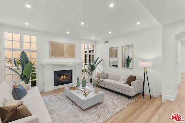 living room with light wood-type flooring