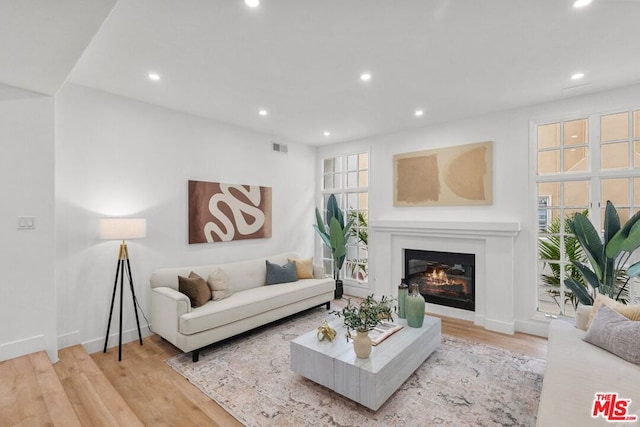 living room featuring light hardwood / wood-style flooring