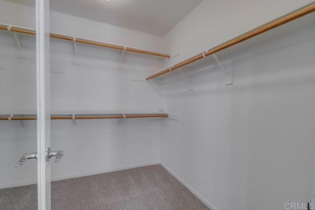 spacious closet with light colored carpet