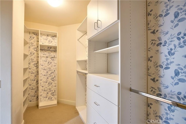 walk in closet featuring light colored carpet