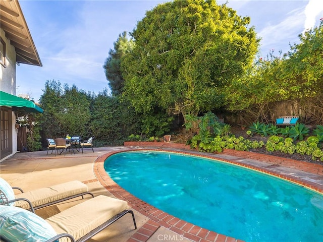 view of pool featuring a patio