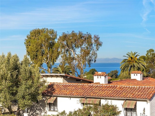 view of water feature featuring a mountain view