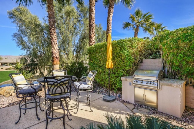 view of patio / terrace with grilling area and an outdoor kitchen