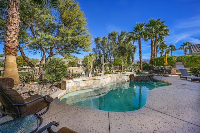 view of pool with a patio area