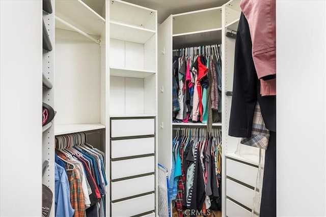 view of walk in closet