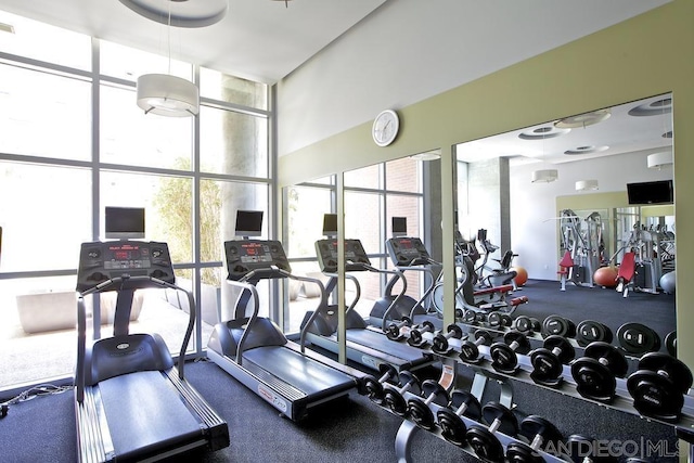 workout area with floor to ceiling windows