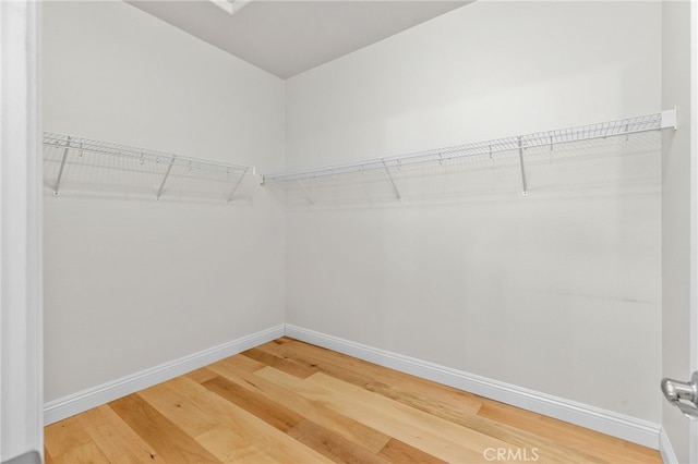 walk in closet with hardwood / wood-style flooring