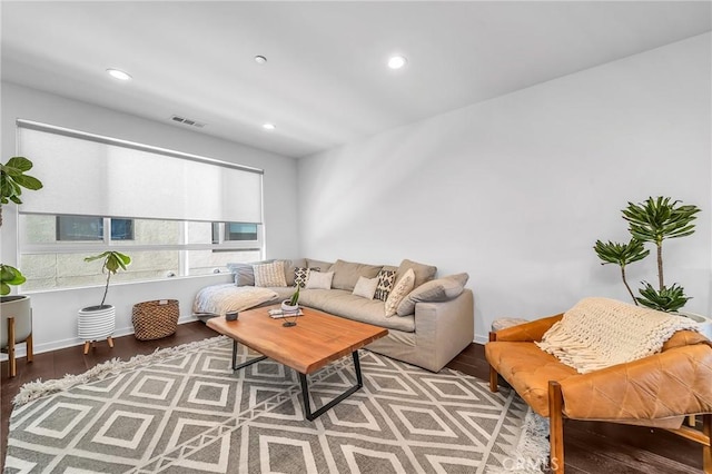 living room with wood-type flooring