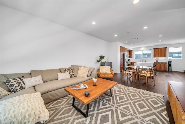 living room with dark hardwood / wood-style floors and sink