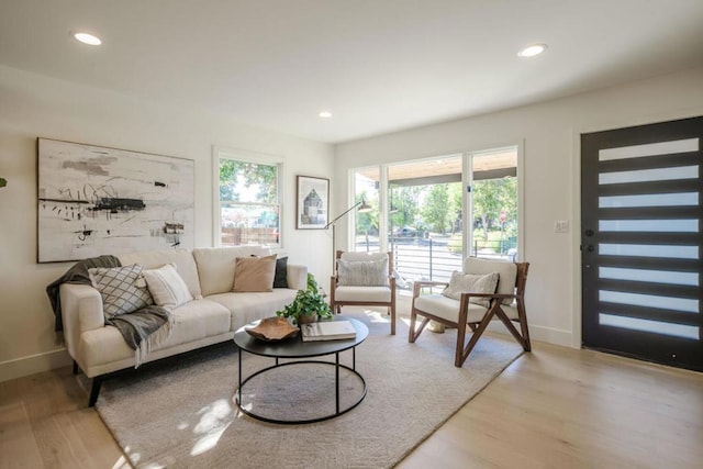 living room featuring light hardwood / wood-style flooring