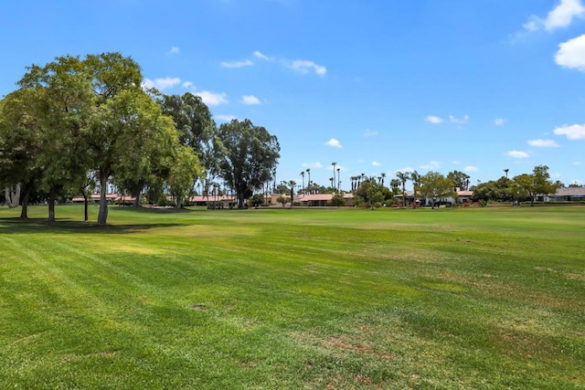 view of home's community with a yard