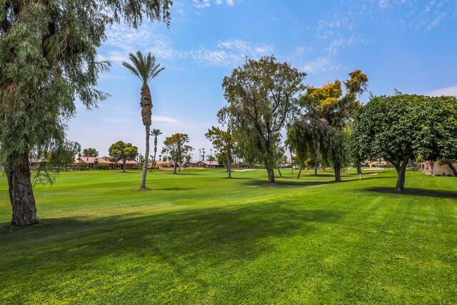 view of community with a lawn