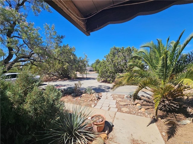 view of yard with a patio