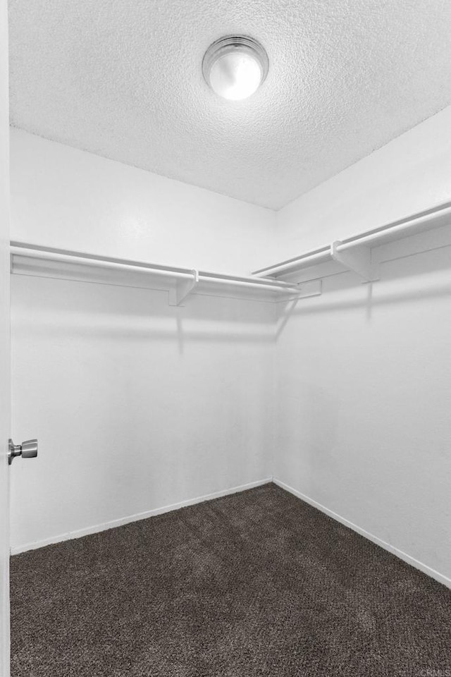 spacious closet featuring carpet