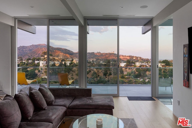 living room with a mountain view, a wall of windows, and light wood-type flooring