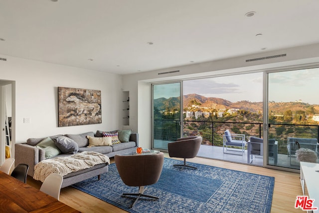 living room with a mountain view and light wood-type flooring