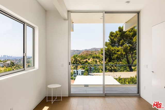 doorway featuring light hardwood / wood-style floors