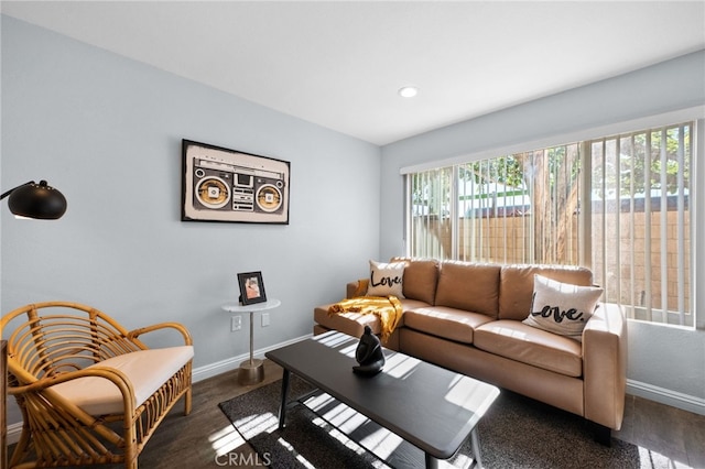 living room with dark hardwood / wood-style floors