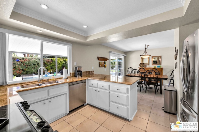 kitchen featuring stainless steel appliances, a tray ceiling, sink, and kitchen peninsula