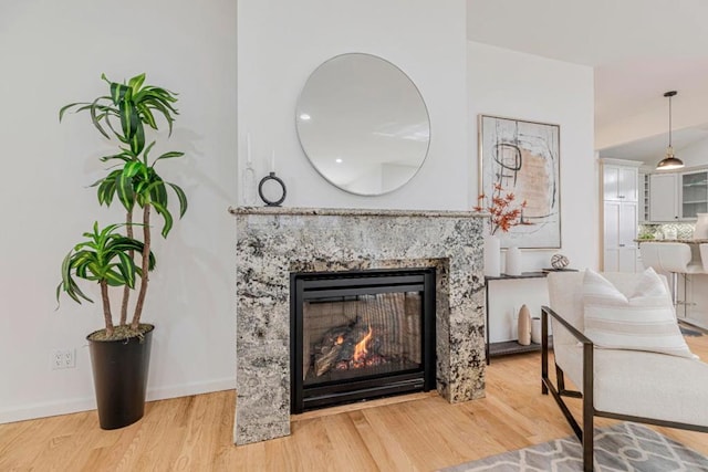 interior details featuring tasteful backsplash, a premium fireplace, and hardwood / wood-style floors