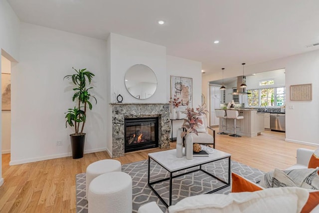 living room with a premium fireplace and light hardwood / wood-style flooring