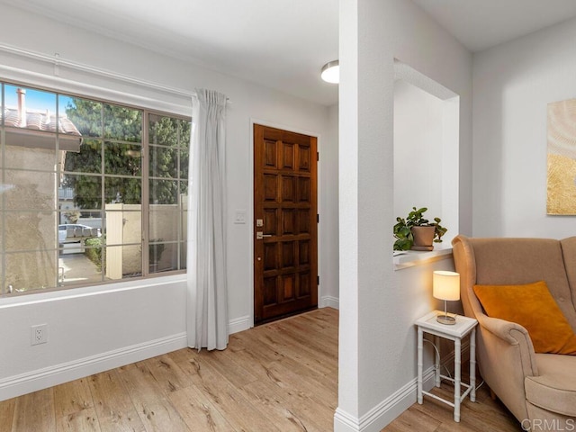 entrance foyer with light hardwood / wood-style flooring