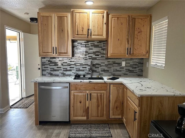 kitchen with tasteful backsplash, a healthy amount of sunlight, dishwasher, and sink