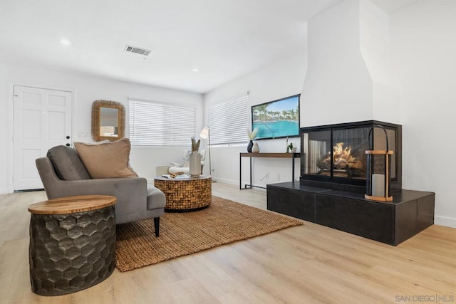 living area featuring light hardwood / wood-style floors and a multi sided fireplace