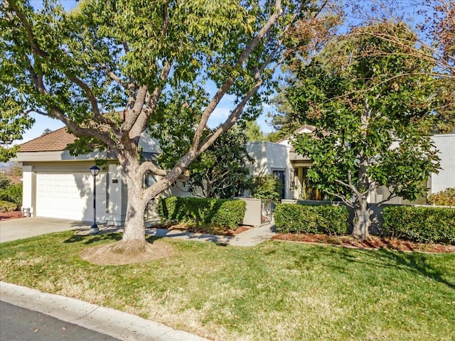 view of property hidden behind natural elements with a garage and a front lawn