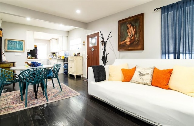 living room featuring dark wood-type flooring and sink