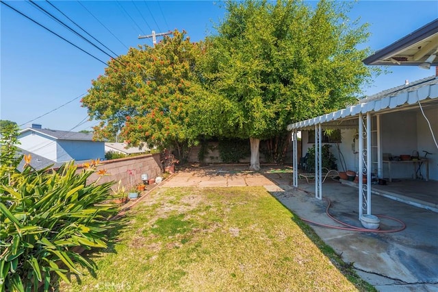 view of yard with a patio