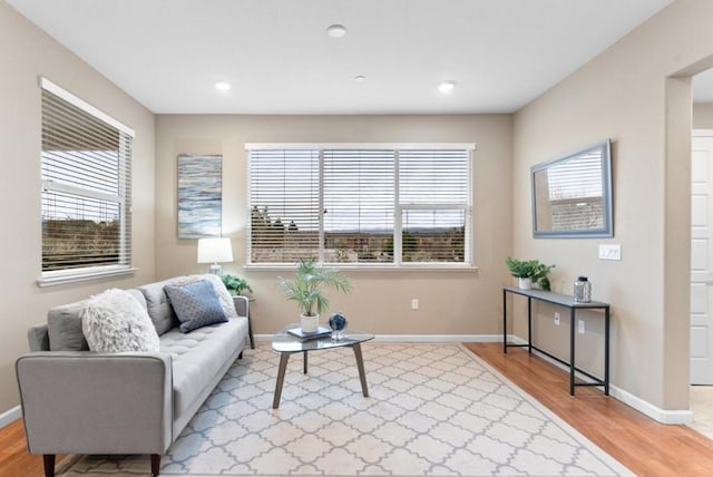 living room featuring light hardwood / wood-style flooring