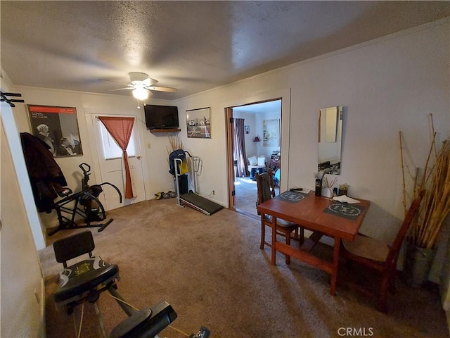 exercise area with ceiling fan and carpet