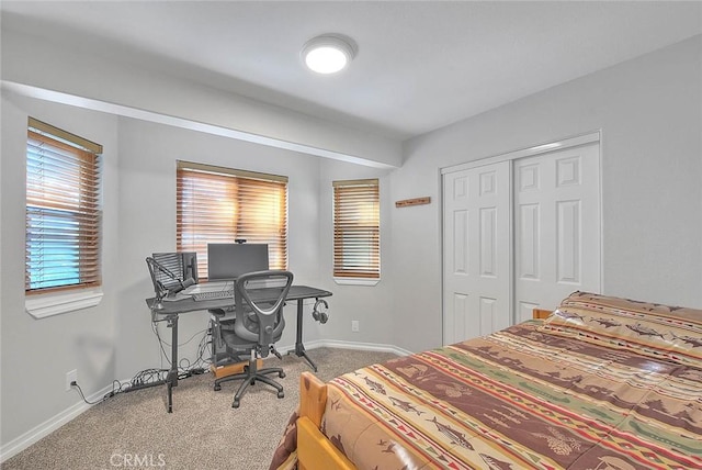 bedroom featuring carpet floors and a closet