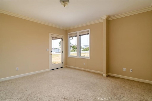 carpeted spare room featuring ornamental molding