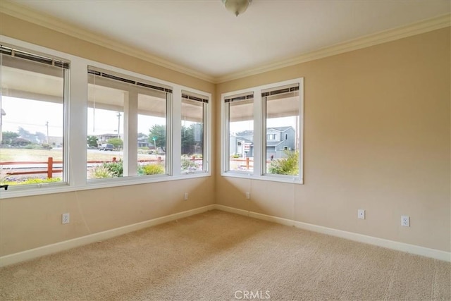 carpeted spare room with crown molding