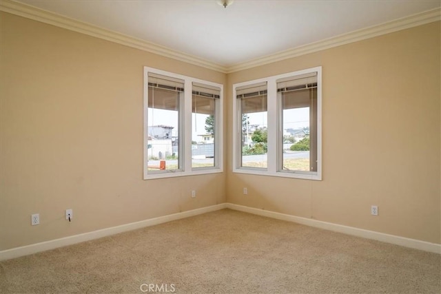 empty room with crown molding and carpet flooring