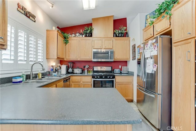 kitchen featuring sink, stainless steel appliances, and light brown cabinets