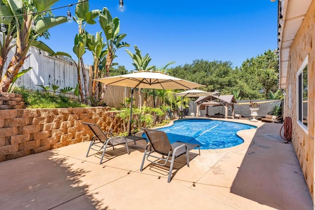 view of pool with a patio