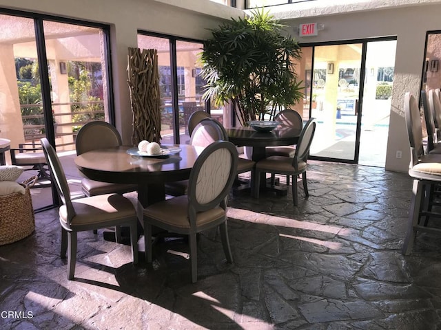 dining area featuring plenty of natural light